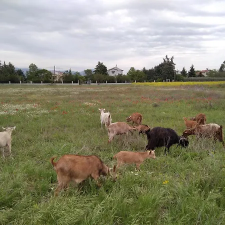 アパート παληοκτημα - Palioktima 2