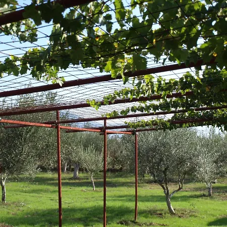 アパート παληοκτημα - Palioktima 2