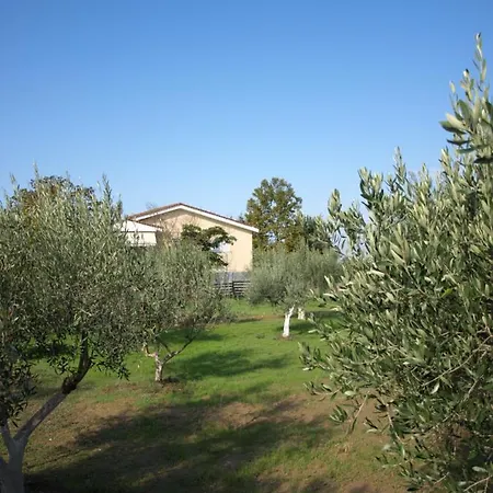 アパート παληοκτημα - Palioktima 2 *