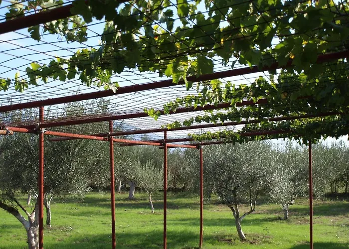 Apartamento παληοκτημα - Palioktima 2