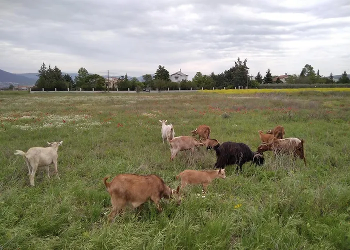 Apartament παληοκτημα - Palioktima 2