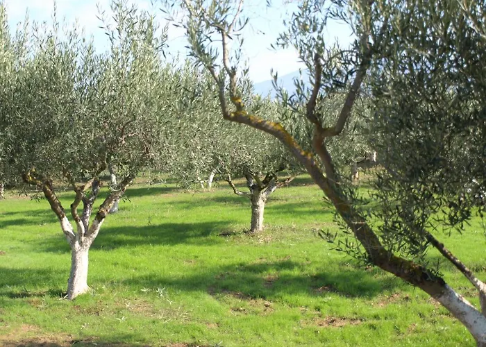 παληοκτημα - Palioktima 2 *